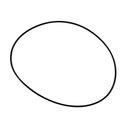 Anillo de guarnicion 100,0 X 1,78, Karcher